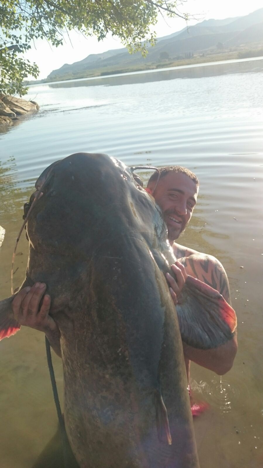 Monster Catfishing Holidays in Spain