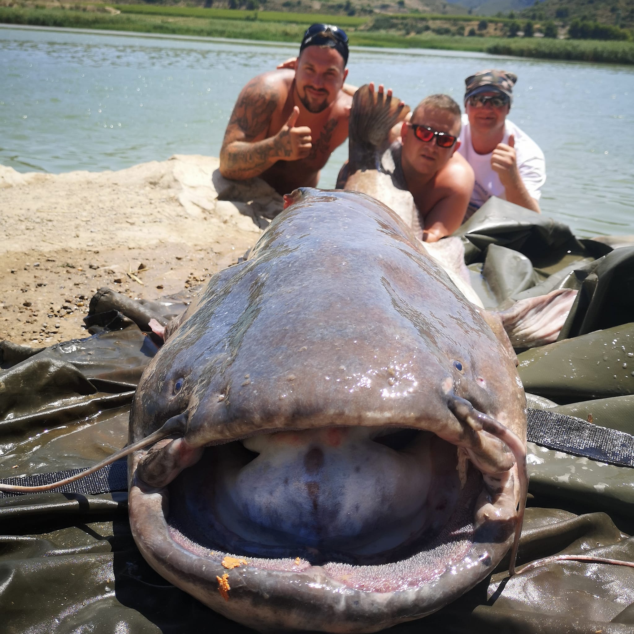 Monster Fishing Holiday & Tour Packages - Monster Catfishing Tours &  Holidays in Spain, River Ebro
